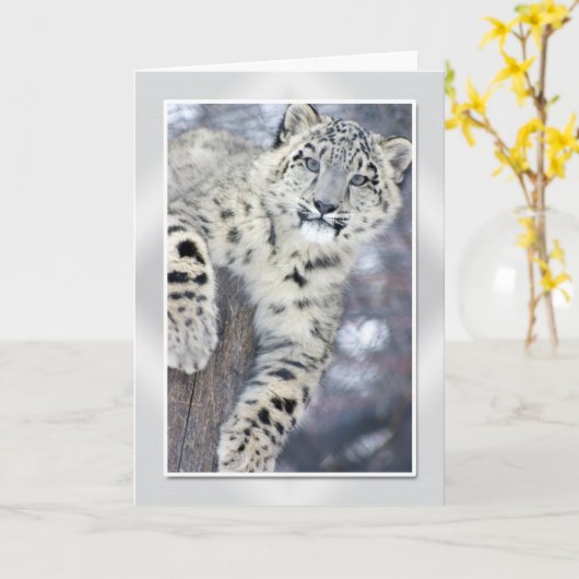 Hangin rond….(w/border) kaart (Gele Bloem)