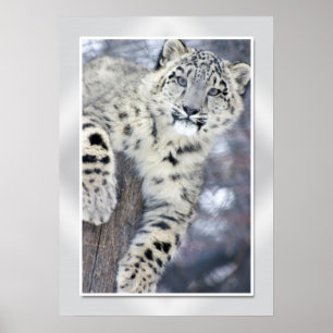 Hangin rond...(w/grens) poster