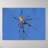 Hangin uit poster (Voorkant)