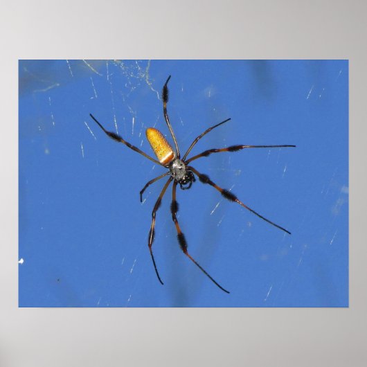 Hangin uit poster (Voorkant)