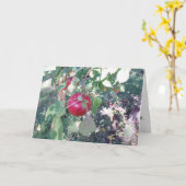 "Hanging Apple" Feliciterende Kaart (Gele Bloem)