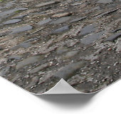 Hanging Basket Poster (Hoek)