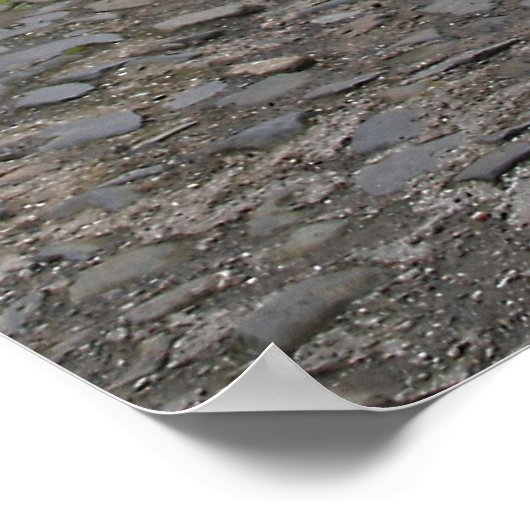 Hanging Basket Poster (Hoek)