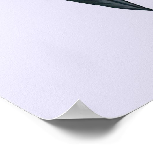 Hanging Bat Poster (Hoek)