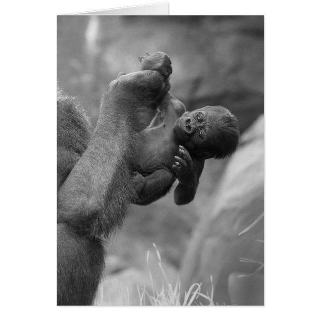 Hanging Gorilla Baby (Voorkant)