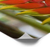Hanging Heliconia, weekenddinsdag fruit en Poster (Hoek)