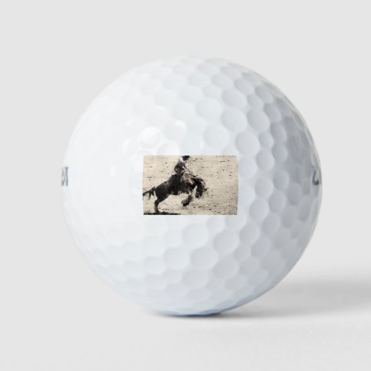 Hanging On - Bronco Busting Champ Golfballen (Voorkant)