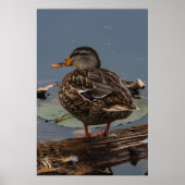 Hanging Out Poster (Voorkant)