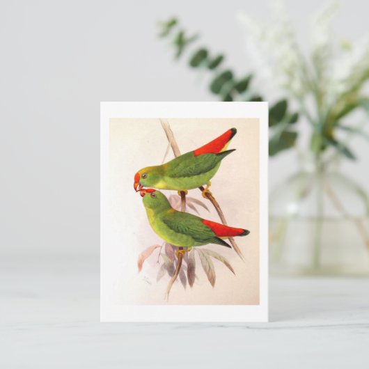 Hanging Parrots Briefkaart (Staand voorkant)