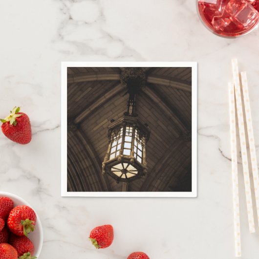Hanging Pendant Licht Servet (Insitu)
