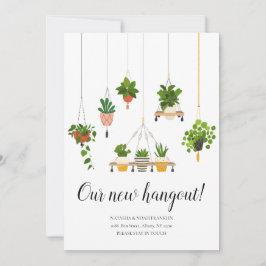 Hanging Plants Nieuwe Adres Wij Zijn Verhuisd 