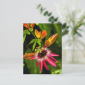 Hanging Red Bromeliad Briefkaart (Staand voorkant)