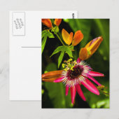 Hanging Red Bromeliad Briefkaart (Voorkant / Achterkant)