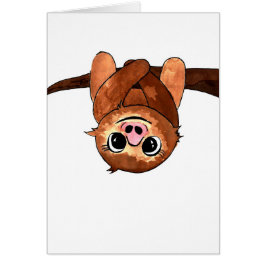 Hanging sloth