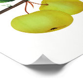 Hanging Soulard Apple Fruit Poster (Hoek)