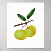 Hanging Soulard Apple Fruit Poster (Voorkant)