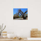 Hanging Tree, Cerrillos, New Mexico Poster (Keuken)