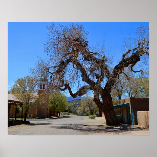 Hanging Tree, Cerrillos, New Mexico Poster (Voorkant)