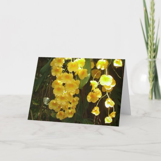 Hanging Yellow Orchids Tropical Flowers Notitiekaartje (Voorkant)