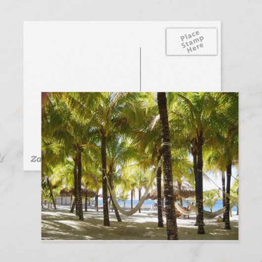 Hangmat en Palmen Briefkaart (Voorkant / Achterkant)