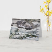 Hangover verjaardagskaart met otters kaart (Gele Bloem)