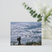 Hani-meisje met mand met rijstterras, briefkaart (Staand voorkant)