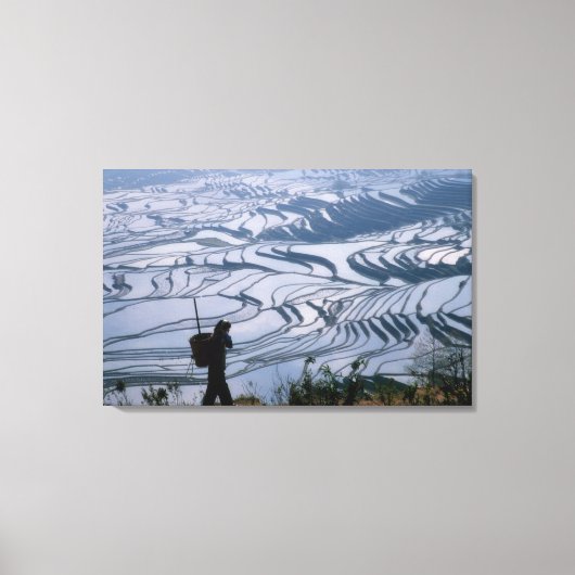 Hani-meisje met mand met rijstterras, canvas afdruk (Voorkant)