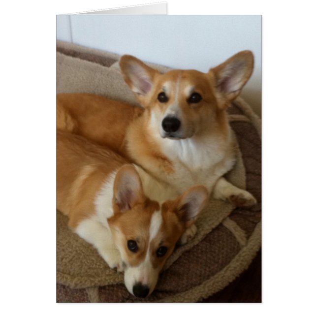 Hank en Milly (Voorkant)