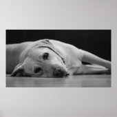 Hank 'ONE' Canvas Poster (Voorkant)