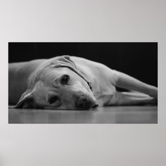 Hank 'ONE' Canvas Poster (Voorkant)