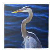 Hank the Heron Tegeltje (Voorkant)