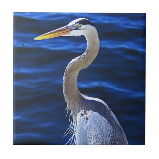 Hank the Heron Tegeltje (Voorkant)