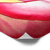 Hannah Gordon roze roze roze waterverf kunst Poster (Hoek)