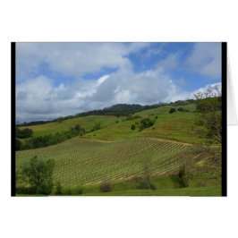 Hannah Winery Uitzicht april 2018