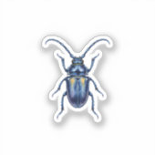 Hanneton Sticker (Voorkant)