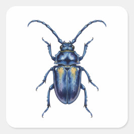 Hanneton Vierkante Sticker