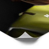 Hannibal Barca poster (Hoek)