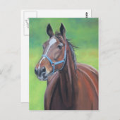 Hanover Horse Art Briefkaart (Voorkant / Achterkant)