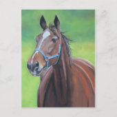 Hanover Horse Art Briefkaart (Voorkant)