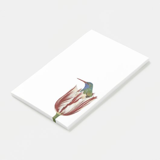 Hans de kolibrie in een tulp Post-it note pad (Schuin)