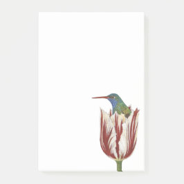 Hans de kolibrie in een tulp Post-it note pad