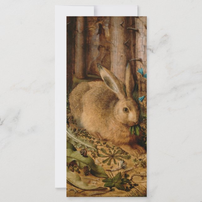 Hans Hoffmann A hare in het bos (Voorkant)