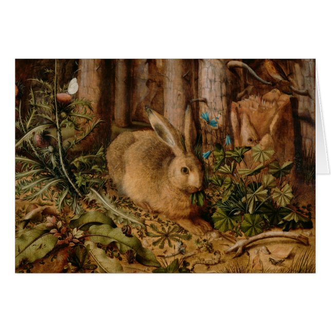 Hans Hoffmann A hare in het bos (Voorkant Horizontaal)