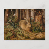 Hans Hoffmann A hare in het bos Briefkaart (Voorkant)