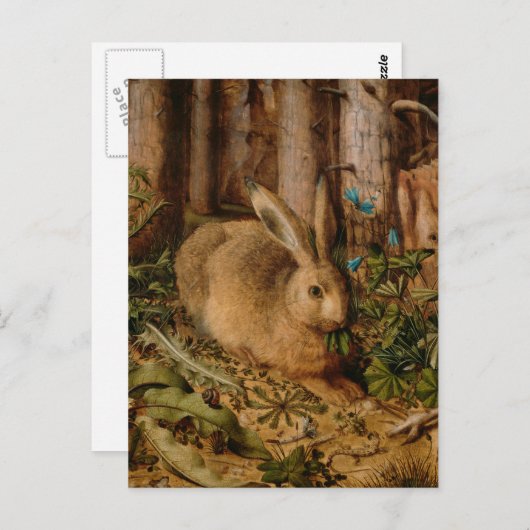 Hans Hoffmann A hare in het bos Briefkaart (Voorkant / Achterkant)