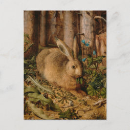 Hans Hoffmann A hare in het bos Briefkaart