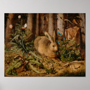 Hans Hoffmann A hare in het bos Poster