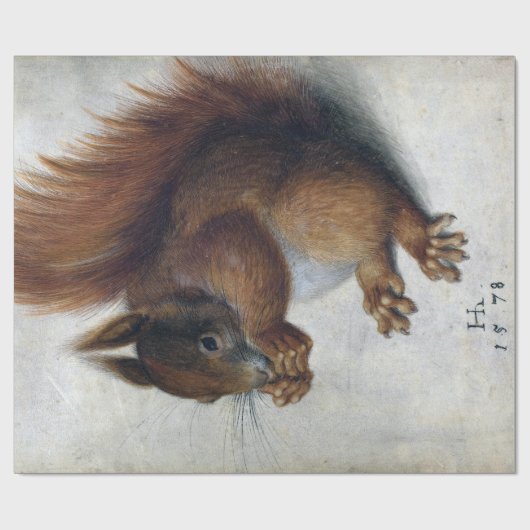 Hans Hoffmann Red Squirrel Cadeaupapier (Vlak)