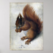 Hans Hoffmann Red Squirrel Poster (Voorkant)