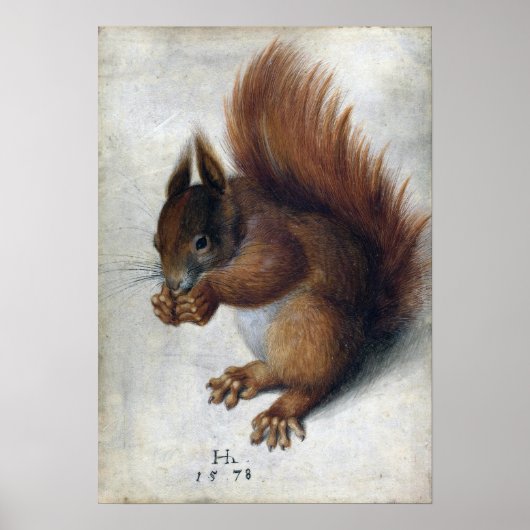 Hans Hoffmann Red Squirrel Poster (Voorkant)